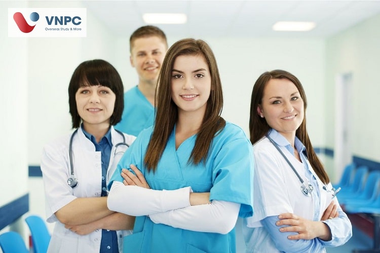 Đăng nhập King88 vina nhận +888K new zealand nên học ngành gì